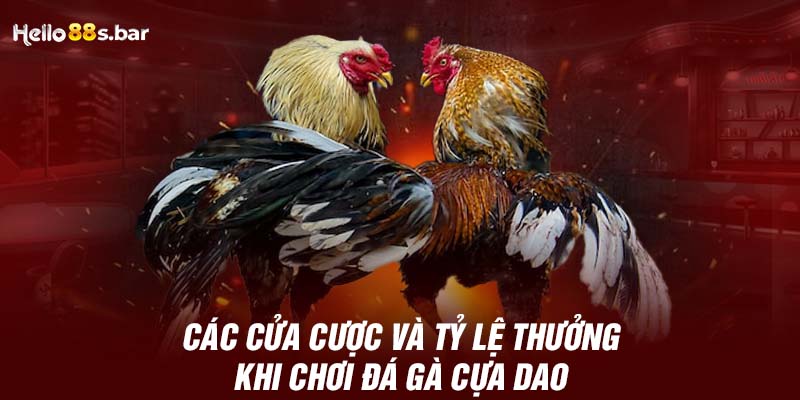 Các cửa cược và tỷ lệ thưởng khi chơi Đá gà cựa dao