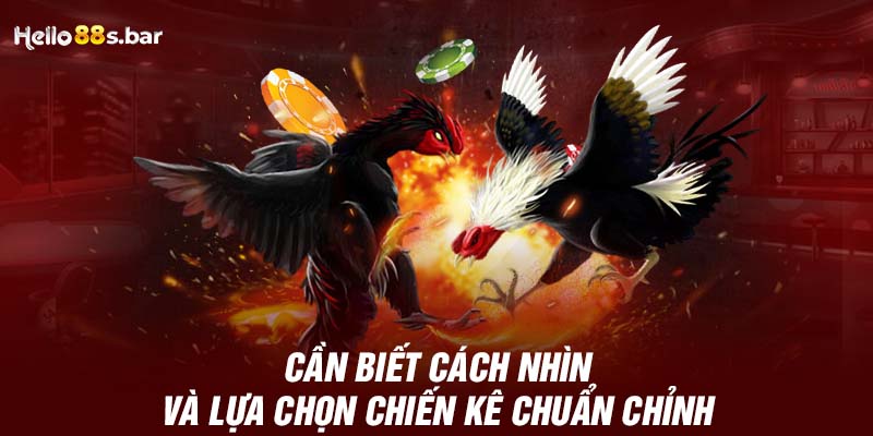 Cần biết cách nhìn và lựa chọn chiến kê chuẩn chỉnh