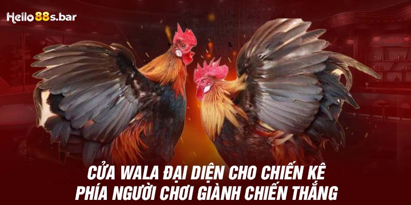 Cửa Wala đại diện cho chiến kê phía người chơi giành chiến thắng