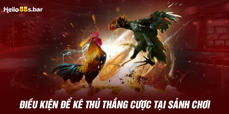 Điều kiện để kê thủ thắng cược tại sảnh chơi