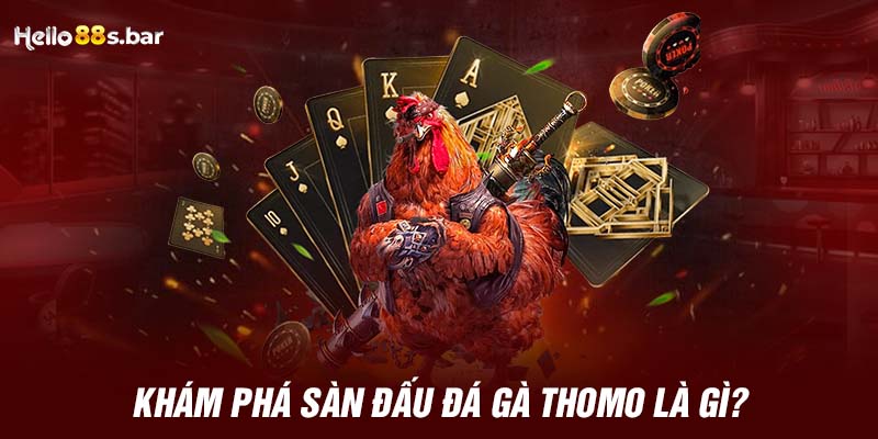 Khám phá sàn đấu Đá Gà Thomo là gì?