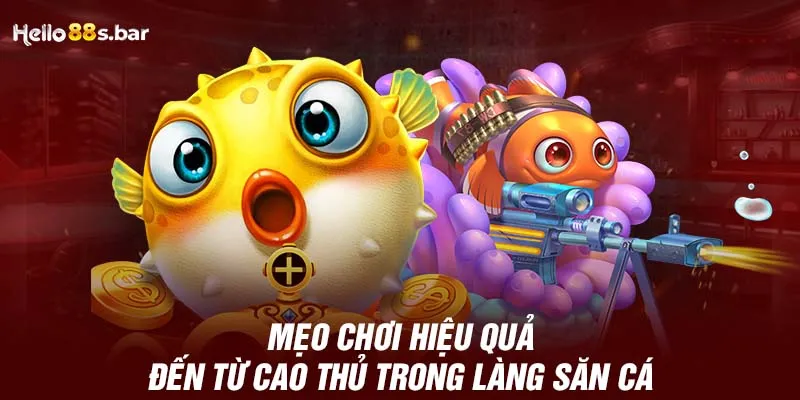 Mẹo chơi hiệu quả đến từ cao thủ trong làng săn cá