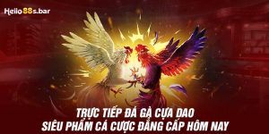 Trực Tiếp Đá Gà Cựa Dao - Siêu Phẩm Cá Cược Đẳng Cấp Hôm Nay